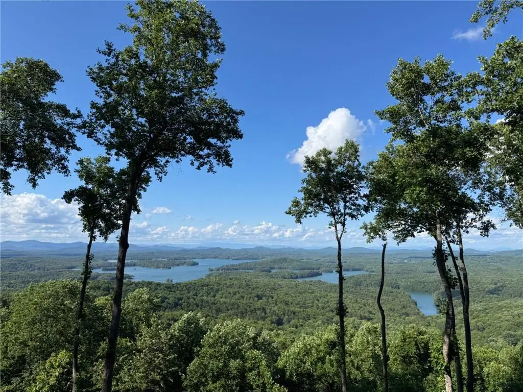 970 Lakeview Drive, Blue Ridge, GA 30513 - #1