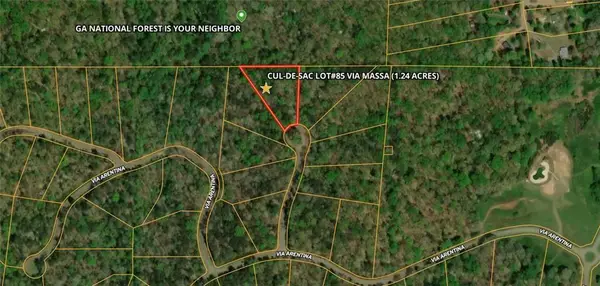 85 Via Massa, Dahlonega, GA 30533