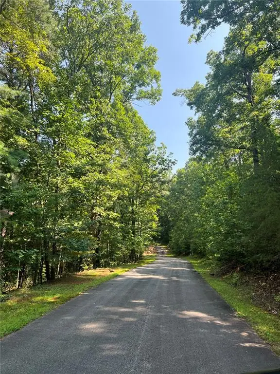 85 Via Massa, Dahlonega, GA 30533 - #3