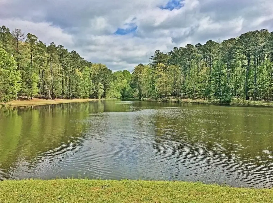 155 Canal Place, Fayetteville, GA 30215 - #2
