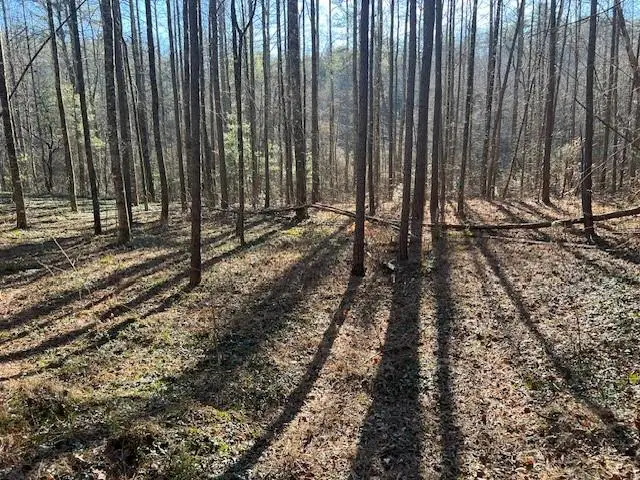 2 Old Miller Rock Road, Ellijay, GA 30540 - #1