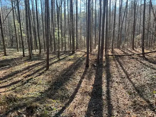 2 Old Miller Rock Road, Ellijay, GA 30540