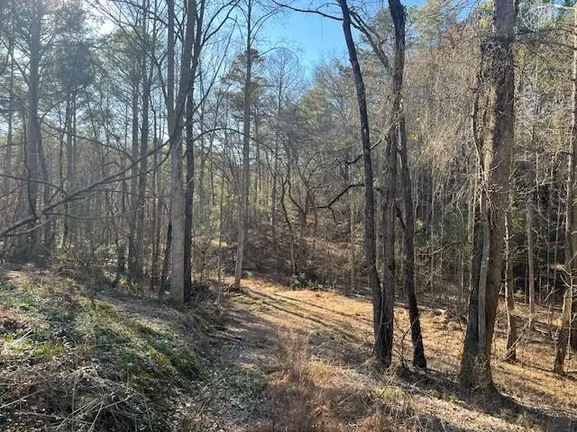 2 Old Miller Rock Road, Ellijay, GA 30540 - #3