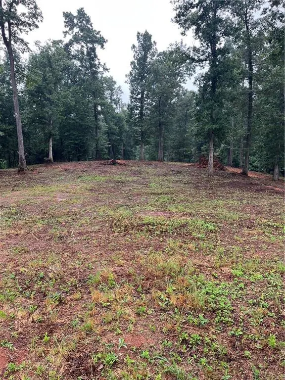 100 Red Plum Drive, Ellijay, GA 30540 - #1