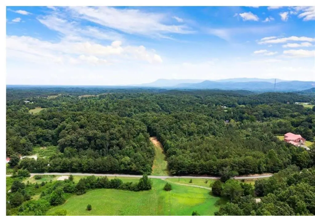 0 Hanes Road, Redbud, GA 30732 - #1