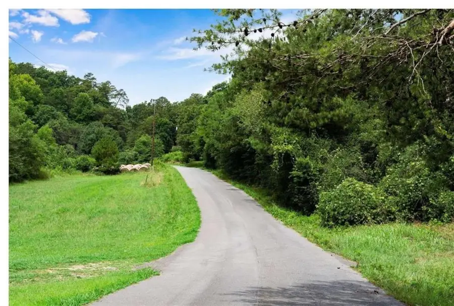 0 Hanes Road, Redbud, GA 30732 - #3