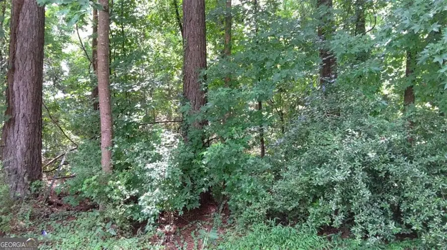 0 Cherie Court, South Fulton, GA 30349 - #2