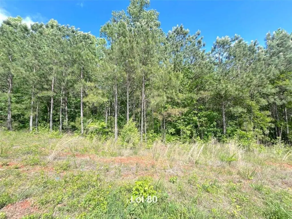 172 Oakdale Way, Temple, GA 30179 - #1