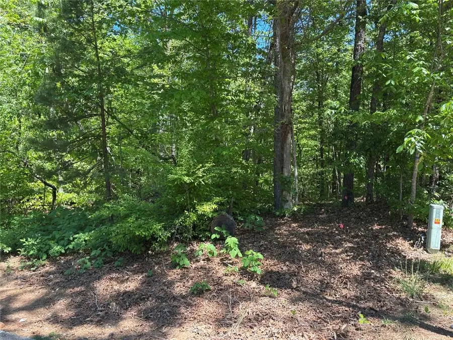 Lot 15 Cross Creek Drive, Toccoa, GA 30577 - #2