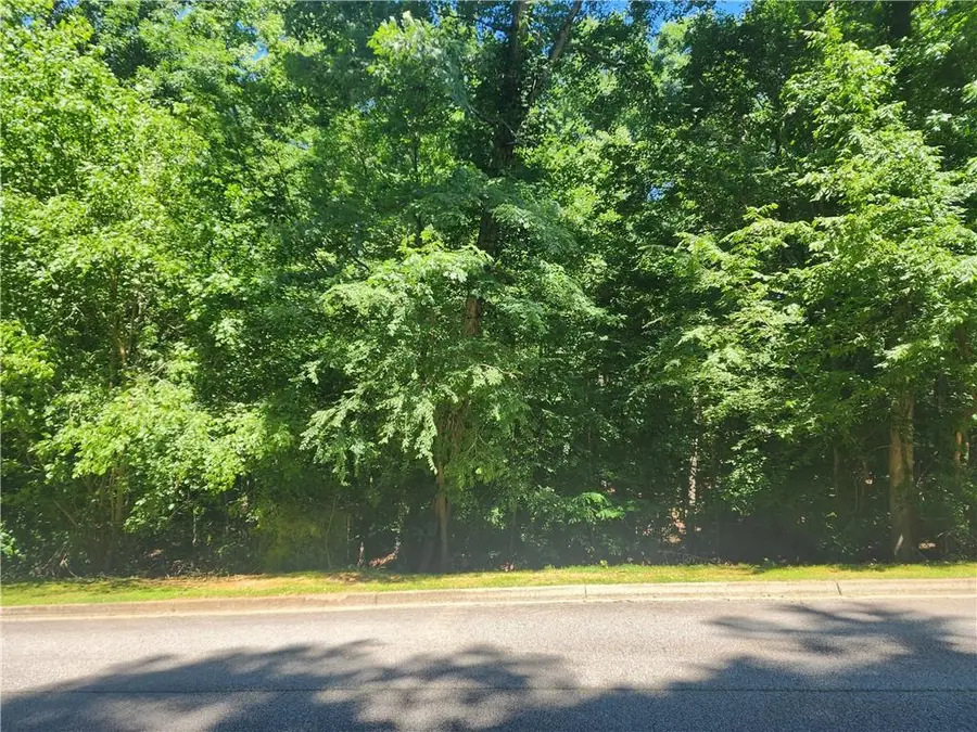 1034 City Market Street, Hoschton, GA 30548 - #3