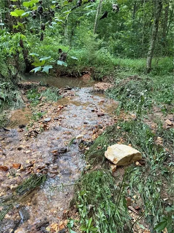 52 West Highway, Dahlonega, GA 30533 - #3