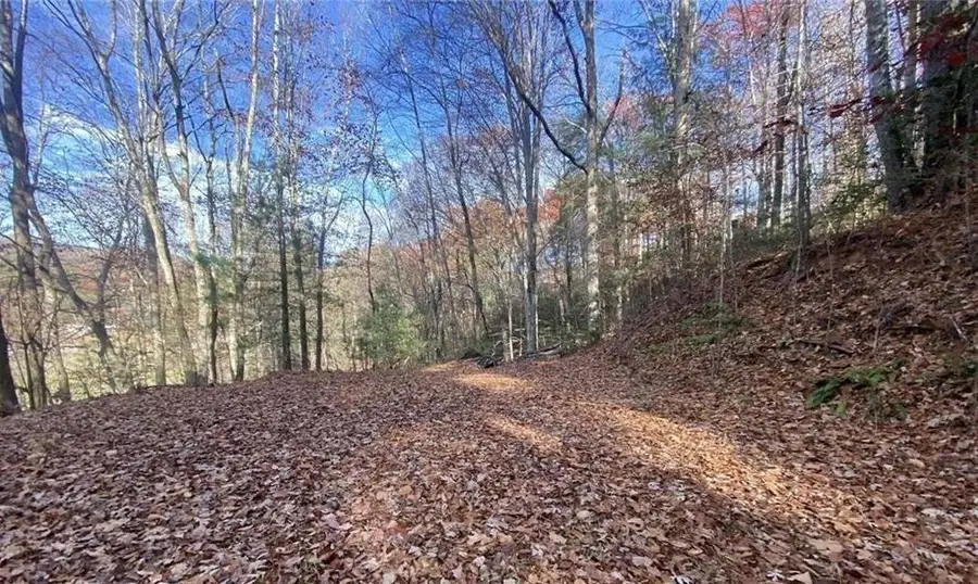 1 Barefoot Hills, Hiawassee, GA 30546 - #3