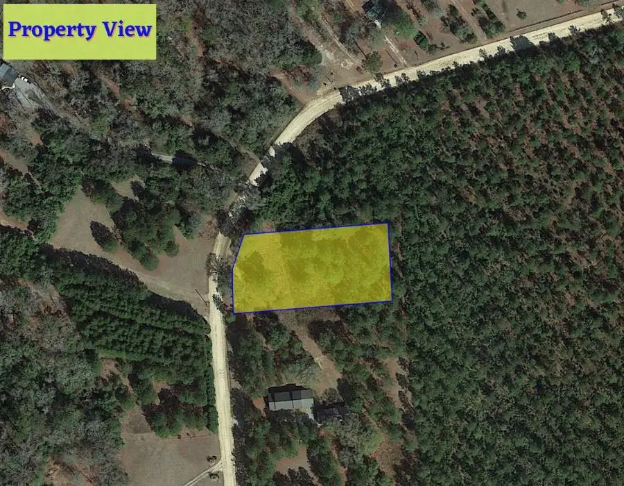 1 Jenny Lynn Lane, Fort Gaines, GA 39851 - #1