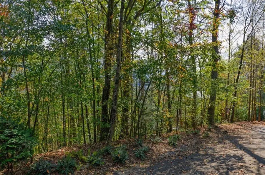 LOT 81 Lillie Drive, Ellijay, GA 30540 - #2