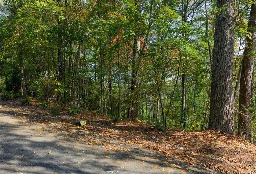LOT 81 Lillie Drive, Ellijay, GA 30540 - #3