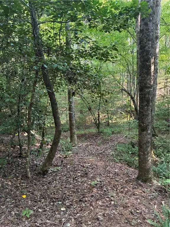 156 Whitfield Lane, Ball Ground, GA 30107 - #2