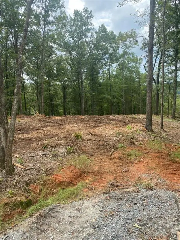 LOT 56 Ridge Line Trail, Ellijay, GA 30540 - #1