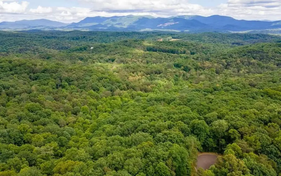 0 Abbott Mill Road, Ellijay, GA 30540 - #2