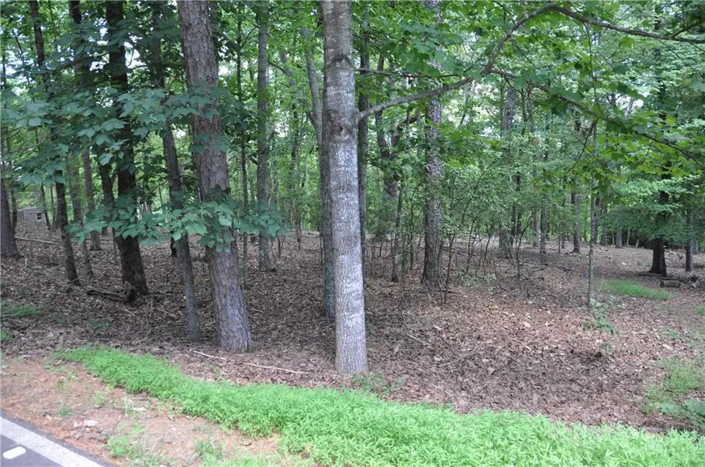 2468 Wedgewood Drive, Big Canoe, GA 30143 - #1