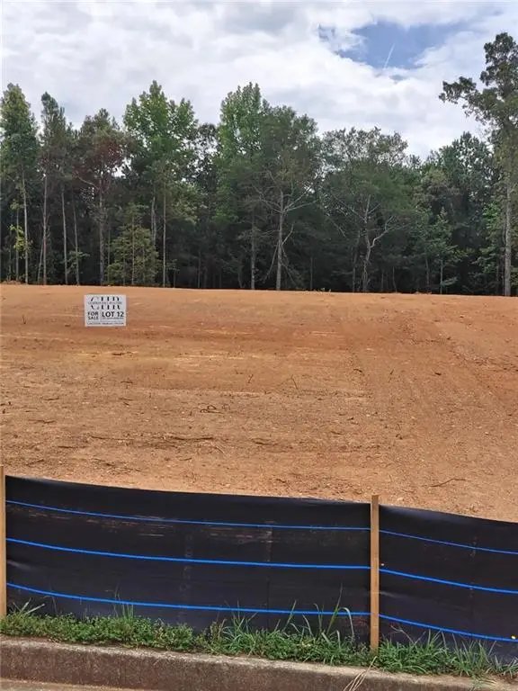 1022 Queens Bridge Way, Griffin, GA 30223 - #2
