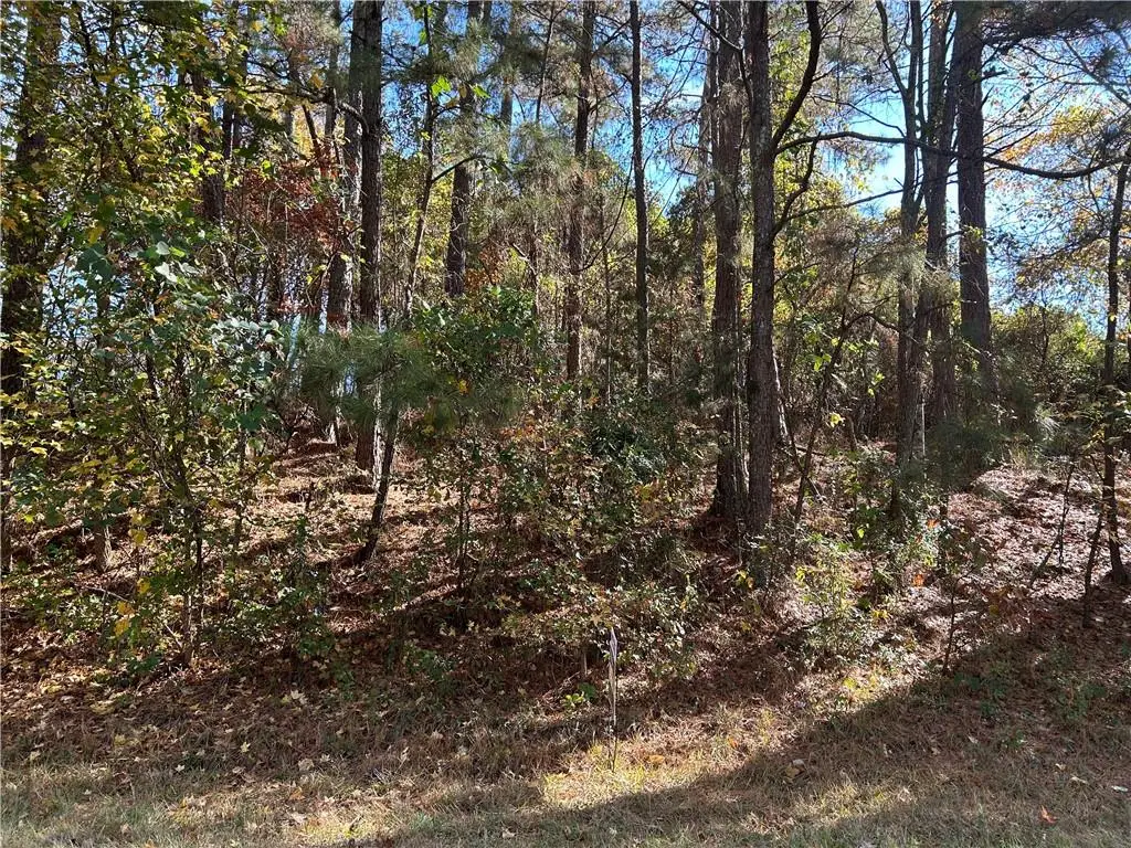 2090 Lee Peters Road, Loganville, GA 30052 - #1