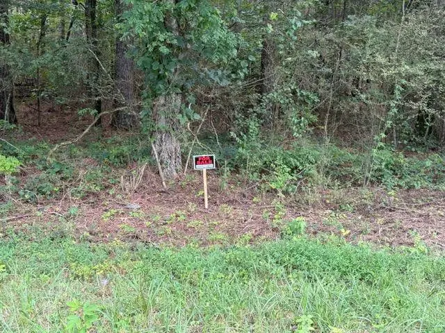 0 Iron Hill Road Lot 4, Taylorsville, GA 30178 - #1