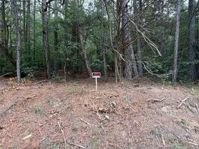 0 Iron Hill Road Lot 2, Taylorsville, GA 30178 - #1