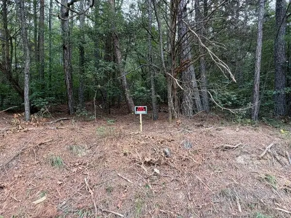 0 Iron Hill Road Lot 2, Taylorsville, GA 30178