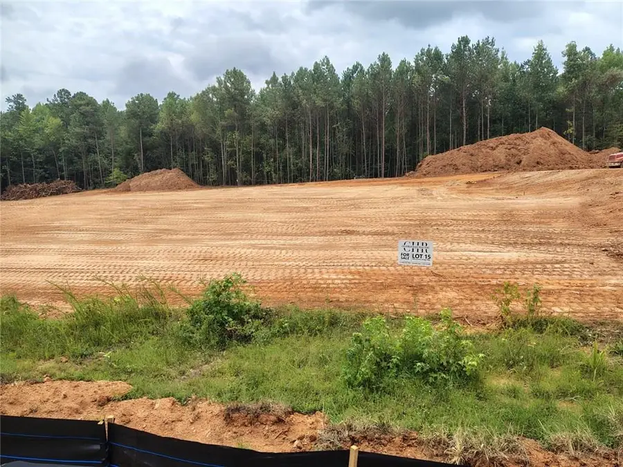 1028 Queens Bridge Way, Griffin, GA 30223 - #3