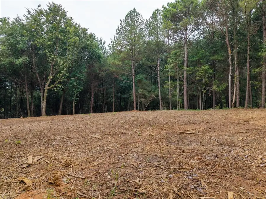 558 Iron Hill Road, Taylorsville, GA 30178 - #2