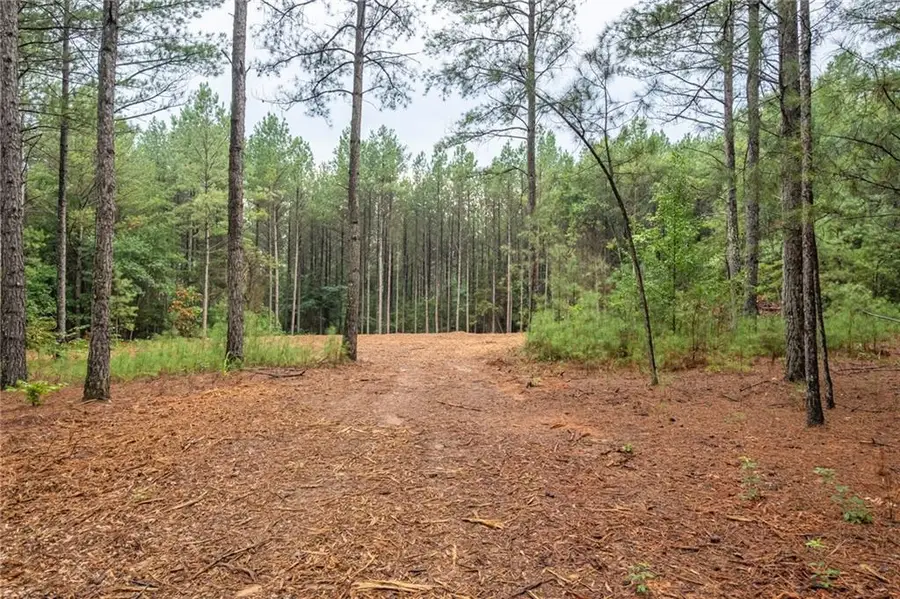 556 Iron Hill Road, Taylorsville, GA 30178 - #3