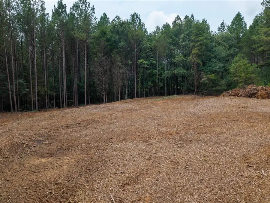 554 Iron Hill Road, Taylorsville, GA 30178 - #3