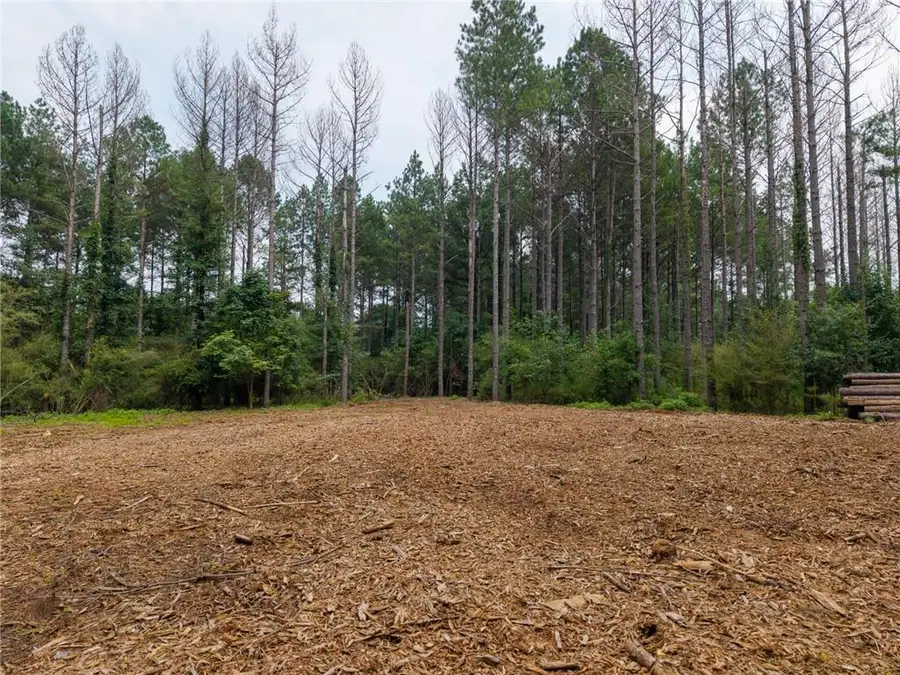 552 Iron Hill Road, Taylorsville, GA 30178 - #3
