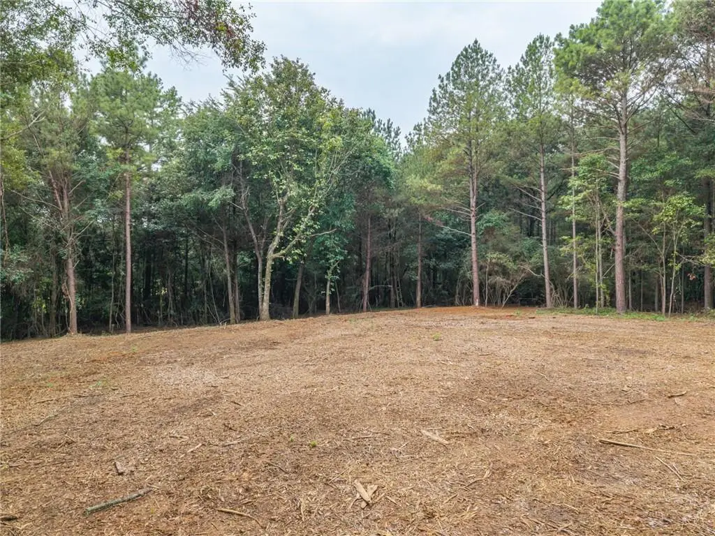 0 Iron Hill Road, Taylorsville, GA 30178 - #1