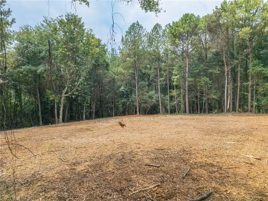 0 Iron Hill Road, Taylorsville, GA 30178 - #2