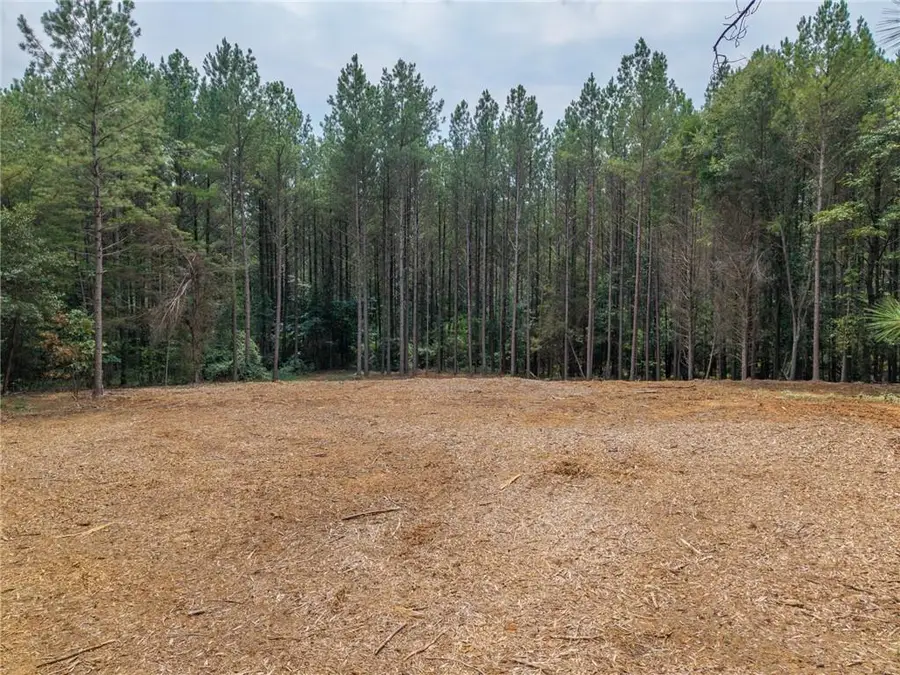 0 Iron Hill Road, Taylorsville, GA 30178 - #3