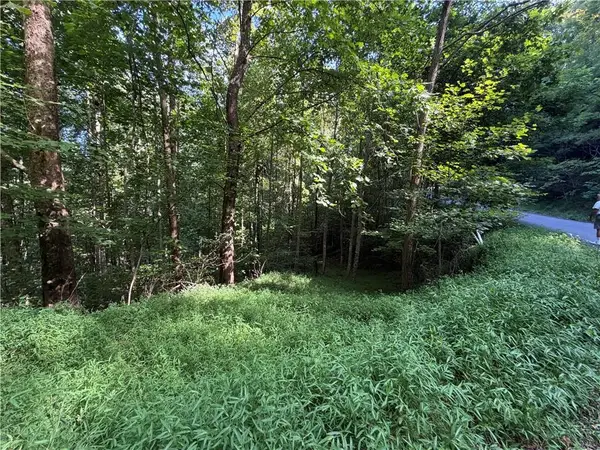 4 Mill Ridge Road, Hiawassee, GA 30546