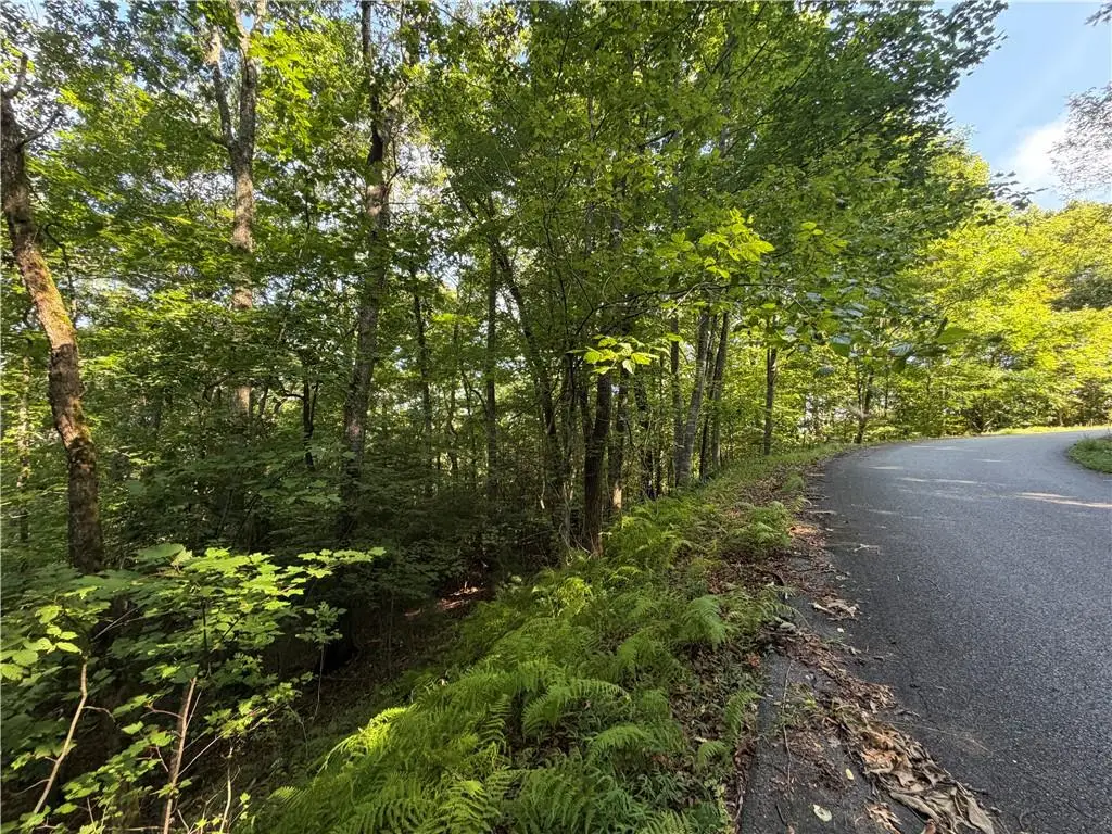 5 Mill Ridge Road, Hiawassee, GA 30546 - #1