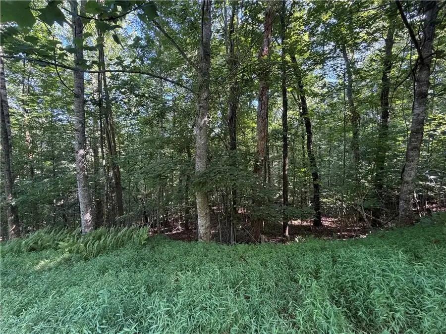 5 Mill Ridge Road, Hiawassee, GA 30546 - #3