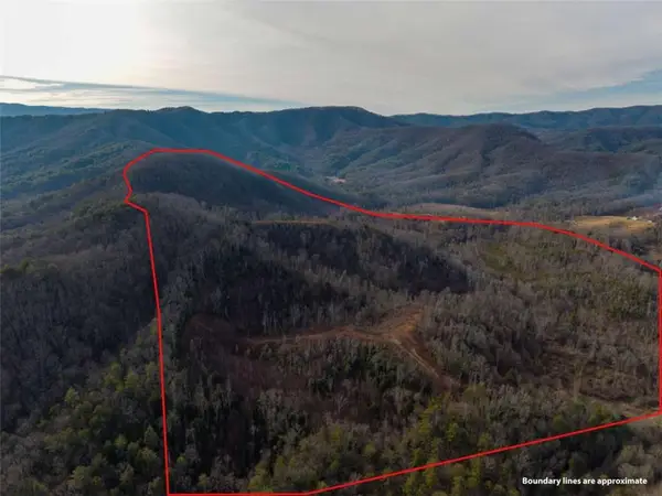 156+ Higdon Creek Road, Blue Ridge, GA 30513