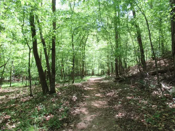 0 Chestatee Drive, Dahlonega, GA 30533