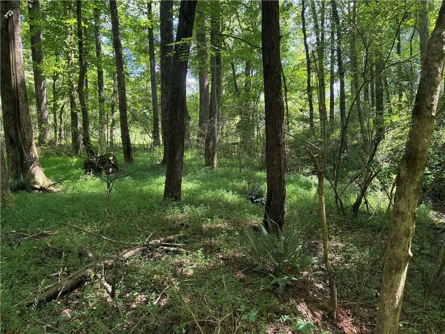 5420 Cantrell Road, Dawsonville, GA 30534 - #2