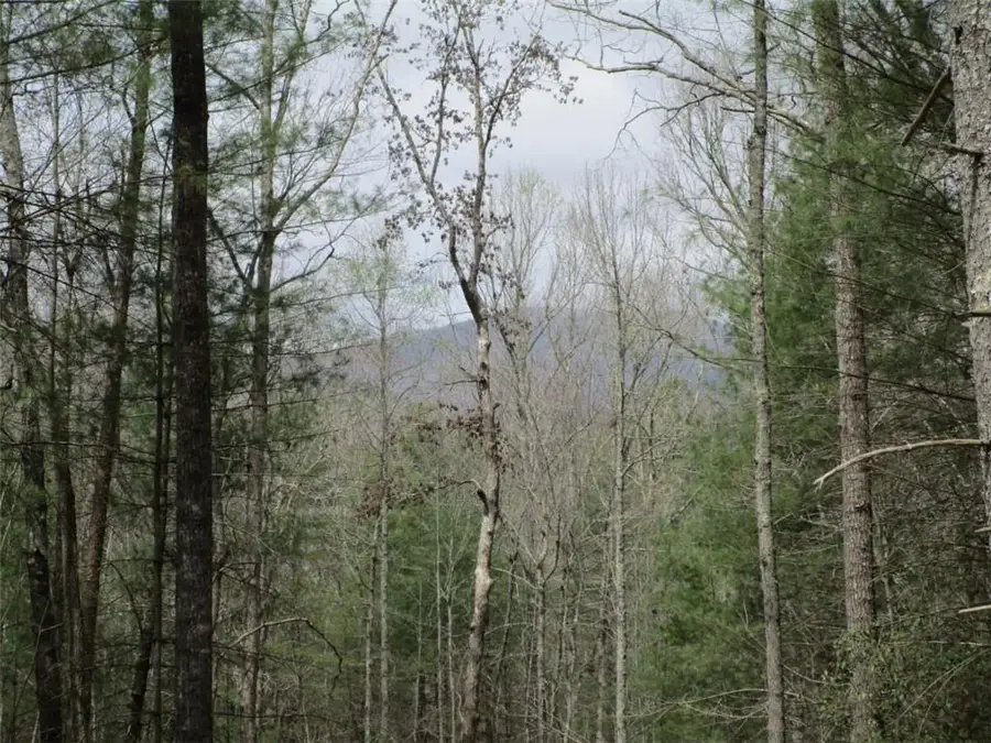 0 East New Hope Road, Ellijay, GA 30536 - #2
