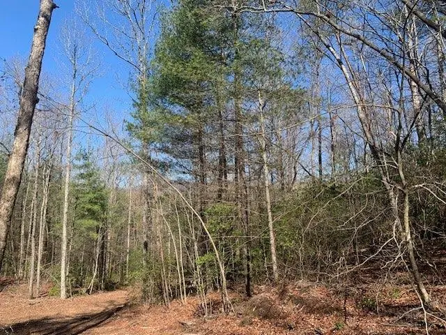 0 East New Hope Road, Ellijay, GA 30536 - #1