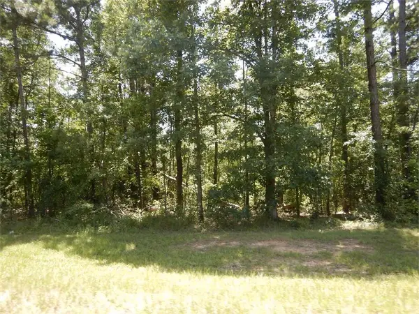 2771 Carey Station Rd Street, Greensboro, GA 30043
