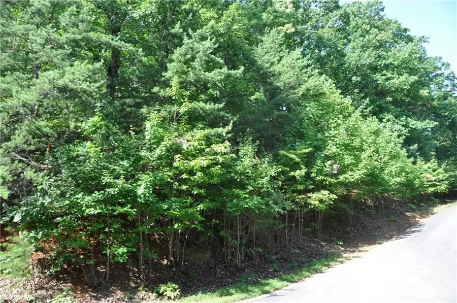 8261 Cox Mountain Drive, Big Canoe, GA 30143 - #3