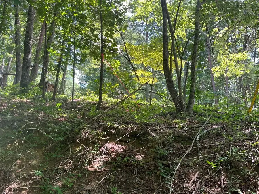0 S Twin Oaks Drive, Ellijay, GA 30540 - #3