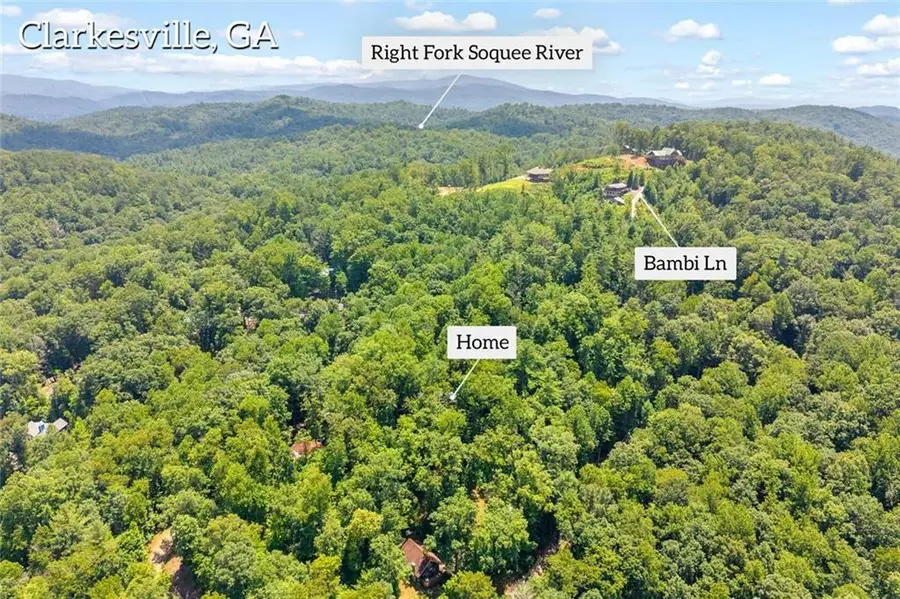 185 Pope Dickson Lane, Clarkesville, GA 30523 - #3