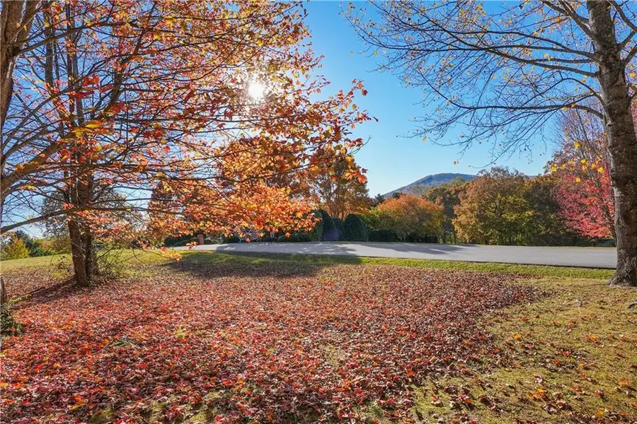 0 Rome Beauty Lane, Lot 4, Clarkesville, GA 30523 - #2
