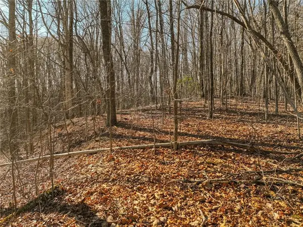 Lot 5 Mount Mincie Road, Murrayville, GA 30564
